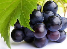 Cross stitch pattern: #27917