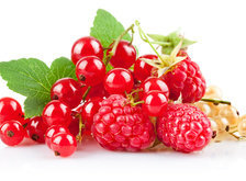 Cross stitch pattern: #28213