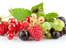 Cross stitch pattern: #28225