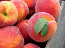 Cross stitch pattern: #28269