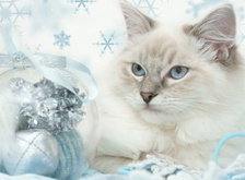 Cross stitch pattern: #28287