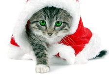 Cross stitch pattern: #28308