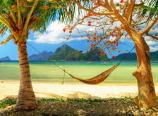 Cross stitch pattern: #28610