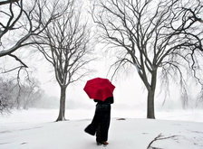 Cross stitch pattern: #28627