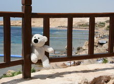 Cross stitch pattern: #28686