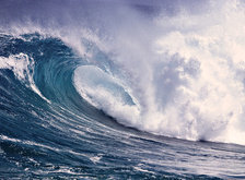 Cross stitch pattern: #28699