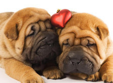 Cross stitch pattern: #28731