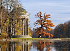 Cross stitch pattern: #28754