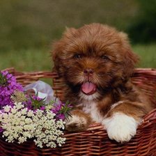 Cross stitch pattern: #28772