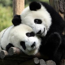 Cross stitch pattern: #28776