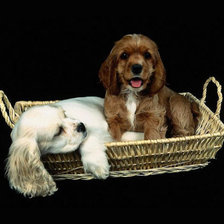 Cross stitch pattern: #28780