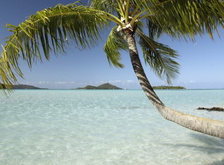 Cross stitch pattern: #28794