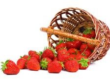 Cross stitch pattern: #28876