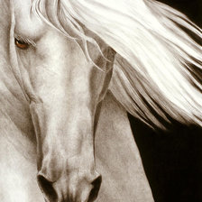 Cross stitch pattern: #29889