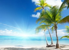 Cross stitch pattern: #29963