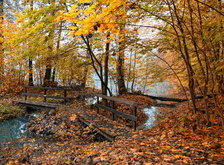 Cross stitch pattern: #29987