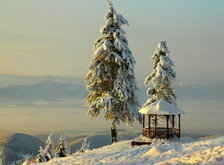 Cross stitch pattern: #30172