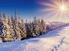 Cross stitch pattern: #30184