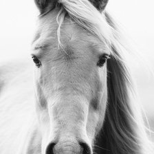 Cross stitch pattern: #30291