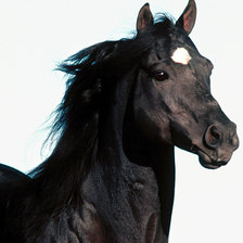 Cross stitch pattern: #30297