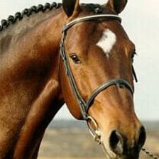 Cross stitch pattern: #30305