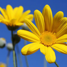 Cross stitch pattern: #30413