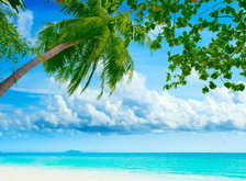 Cross stitch pattern: #30434