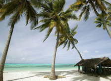 Cross stitch pattern: #30436