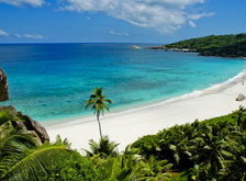 Cross stitch pattern: #30438