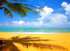 Cross stitch pattern: #30961