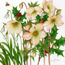 Cross stitch pattern: #31057
