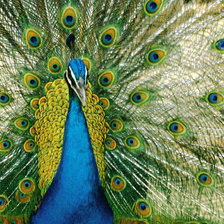 Cross stitch pattern: #31246