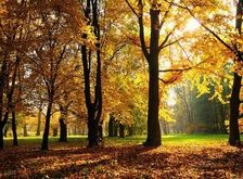 Cross stitch pattern: #31695