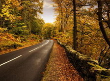 Cross stitch pattern: #31710