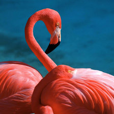 Cross stitch pattern: #31779