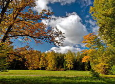 Cross stitch pattern: #33632