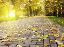 Cross stitch pattern: #33636