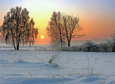 Cross stitch pattern: #33640