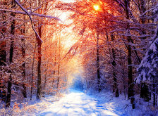 Cross stitch pattern: #33645