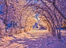 Cross stitch pattern: #33648