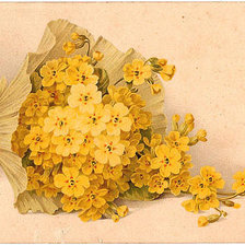 Cross stitch pattern: #33934