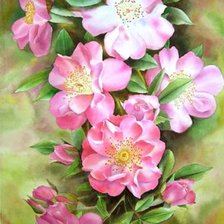 Cross stitch pattern: #33964