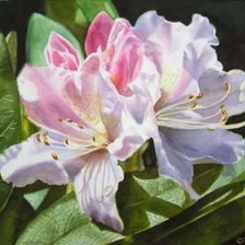 Cross stitch pattern: #33984