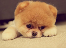 Cross stitch pattern: #34034