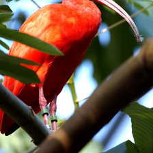 Cross stitch pattern: #34052