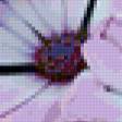 Preview of cross stitch pattern: #34167