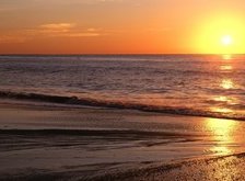 Cross stitch pattern: #34202