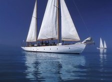 Cross stitch pattern: #34543