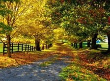 Cross stitch pattern: #34923