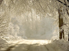 Cross stitch pattern: #35743